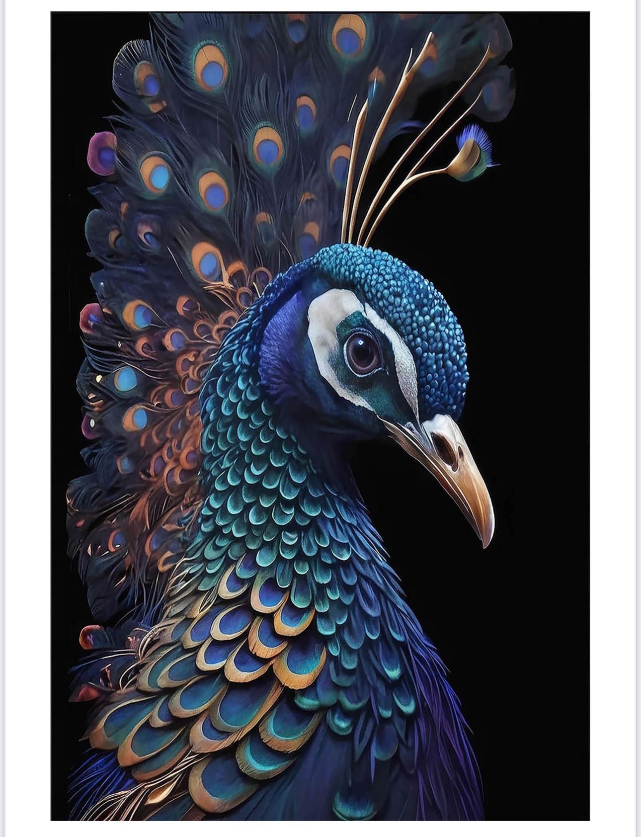 WP-104 - Wall Art