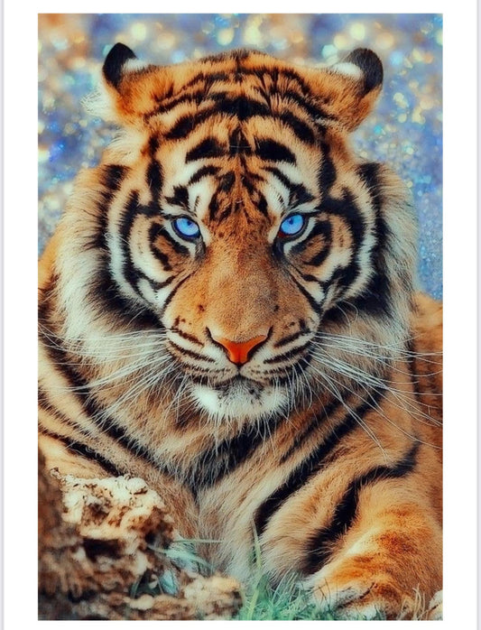 WP-119 - Wall Art
