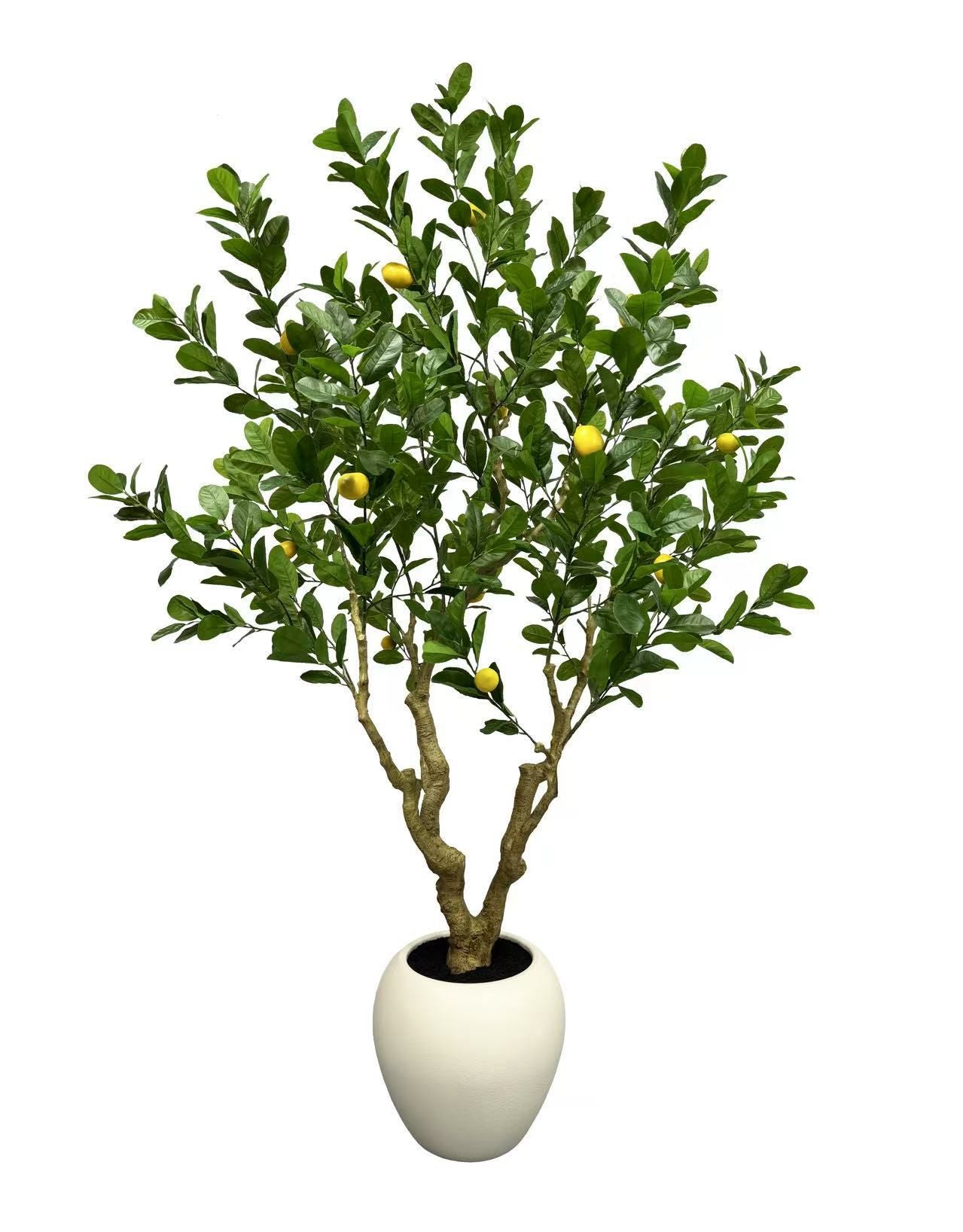 Tree - 106