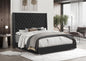 B2025 BLK - VELVET BED